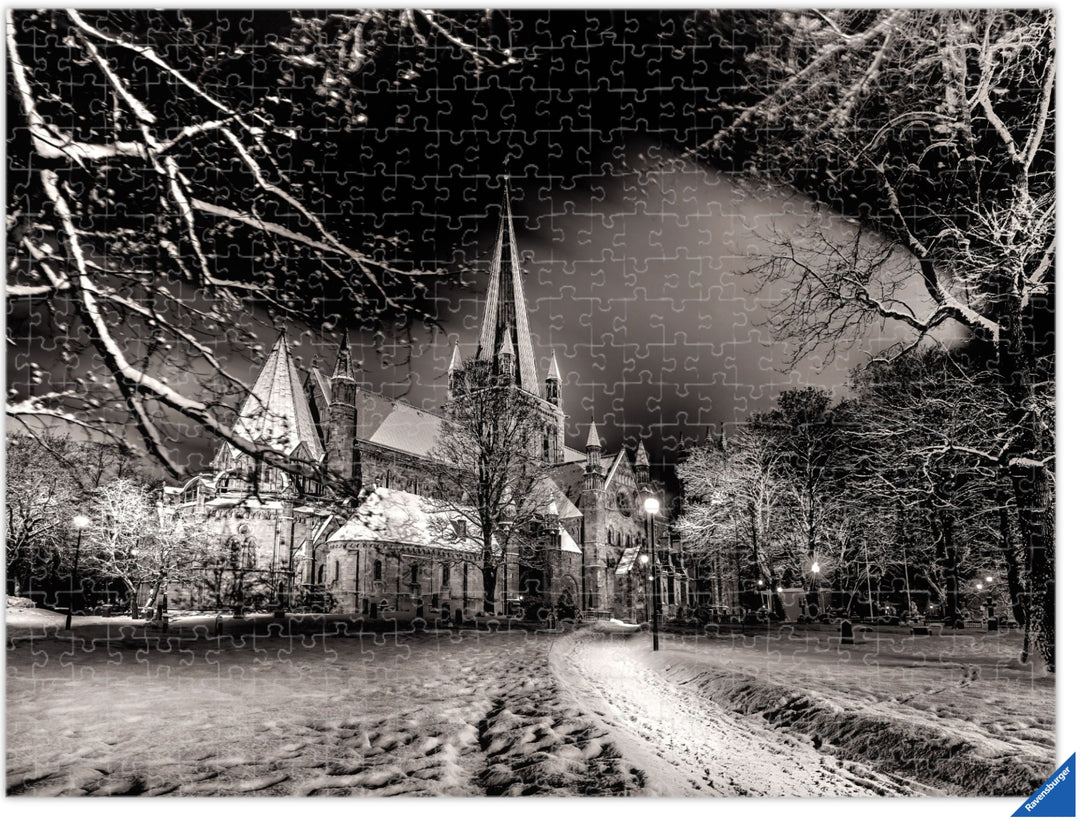 The beautiful Nidarosdomen in Black and White (Photo Puzzle) - AZIZ NASUTI ART GALLERY