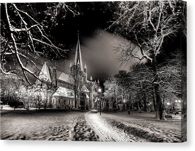Nidarosdomen in a beautiful winter night - AZIZ NASUTI ART GALLERY