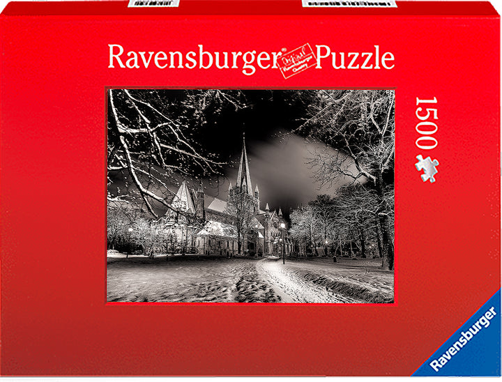 The beautiful Nidarosdomen in Black and White (Photo Puzzle) - AZIZ NASUTI ART GALLERY