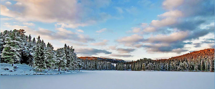 Winter in Baklidammen In Trondheim (Coffee Mug) - AZIZ NASUTI ART GALLERY
