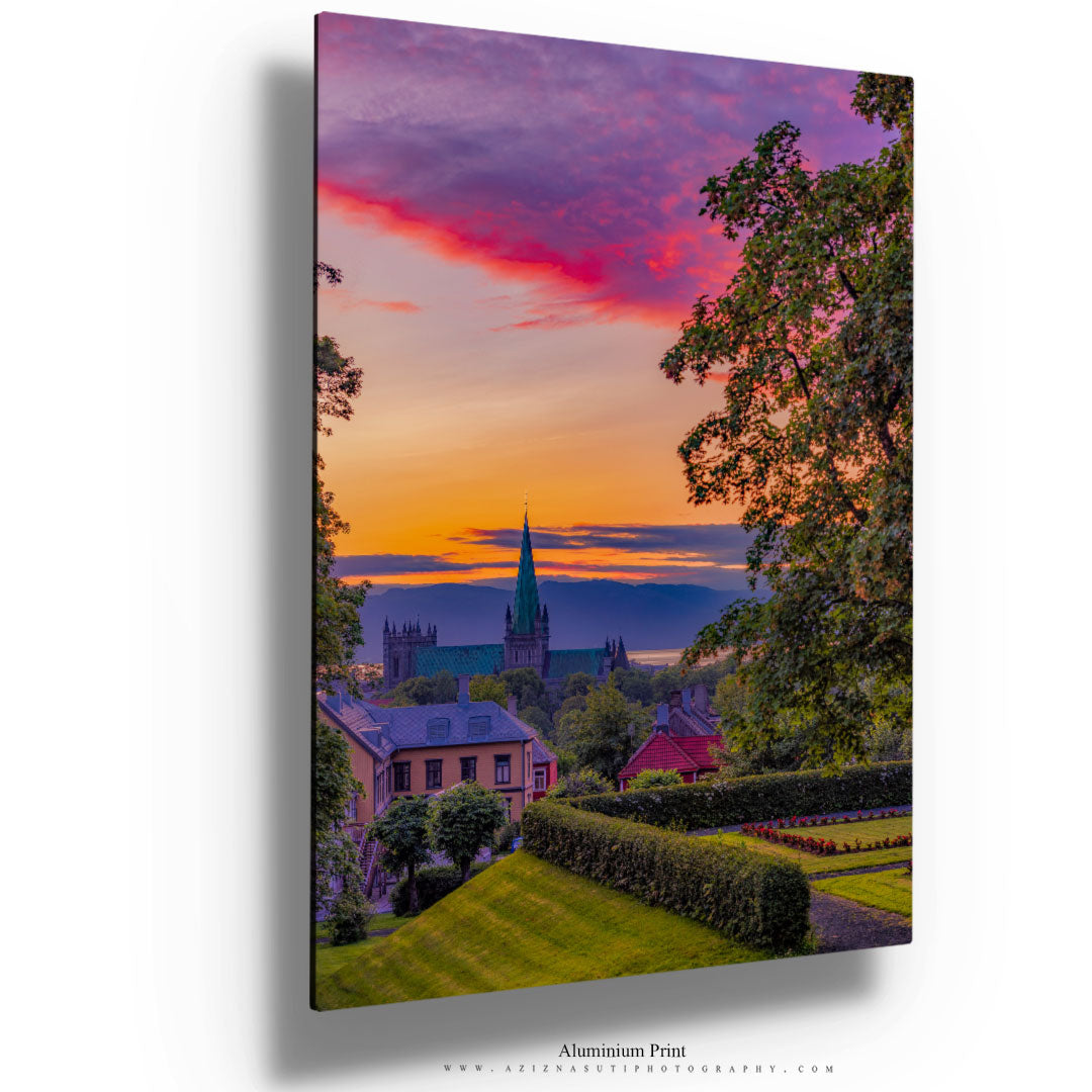 Beautiful Summer Color Over Trondheim From Høyskoleparken