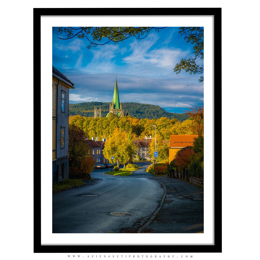 Trondheim's Autumn From Lillegårdsbakken