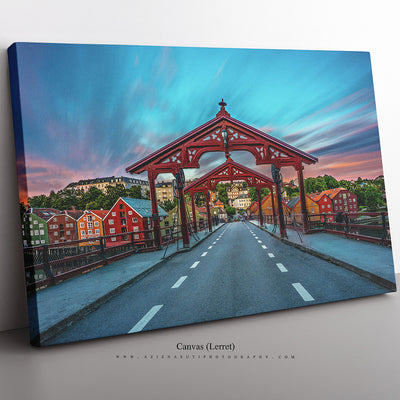 The Beautiful Gamlebybro - AZIZ NASUTI ART GALLERY